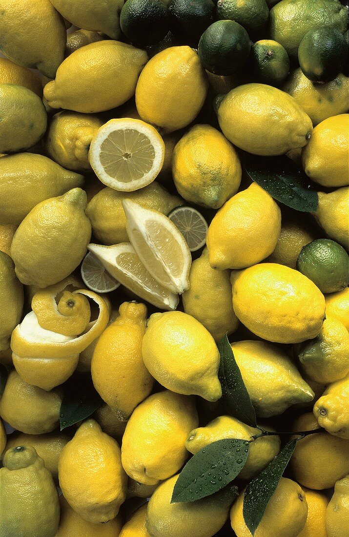 Zitronen, Zitronenhälfte, -viertel & Limetten (Ausschnitt)