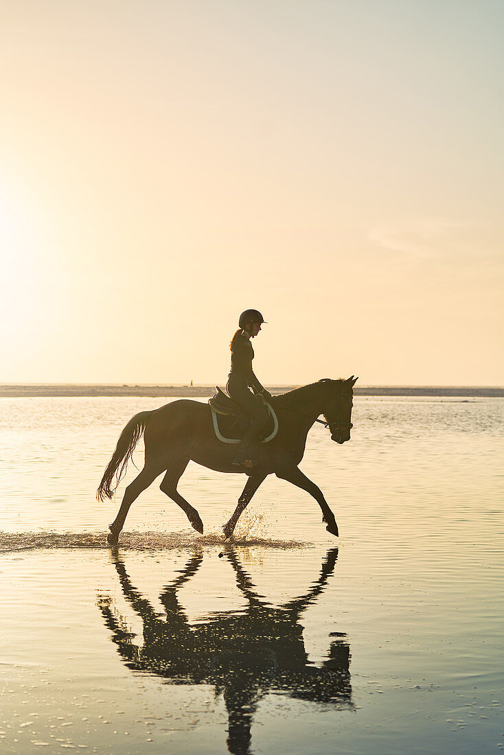 Young woman horseback riding in tranquil sunset surf