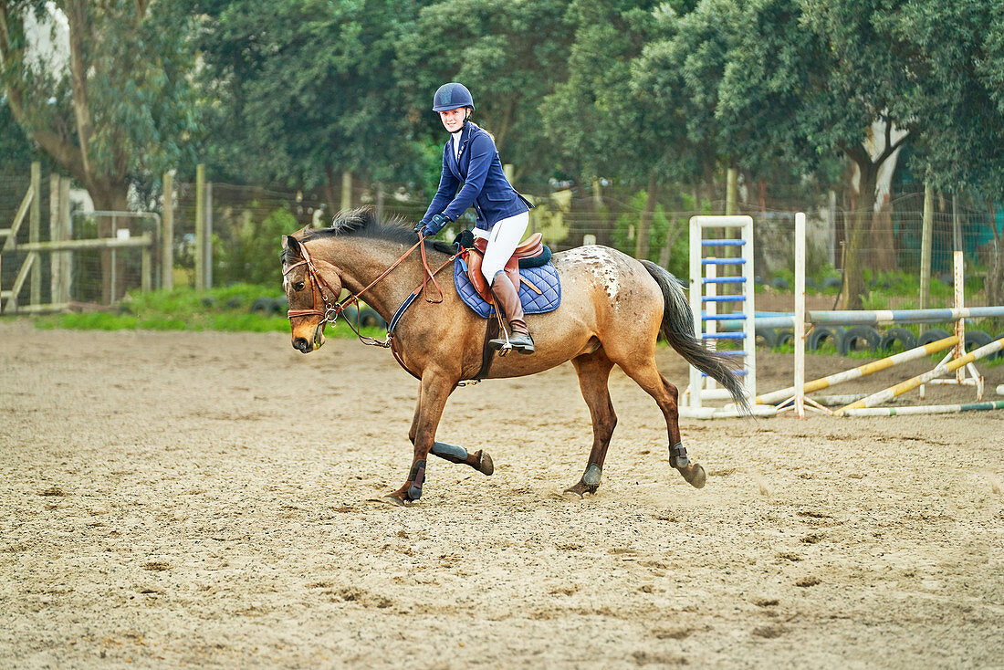 Portrait teenage girl equestrian jumping in paddock