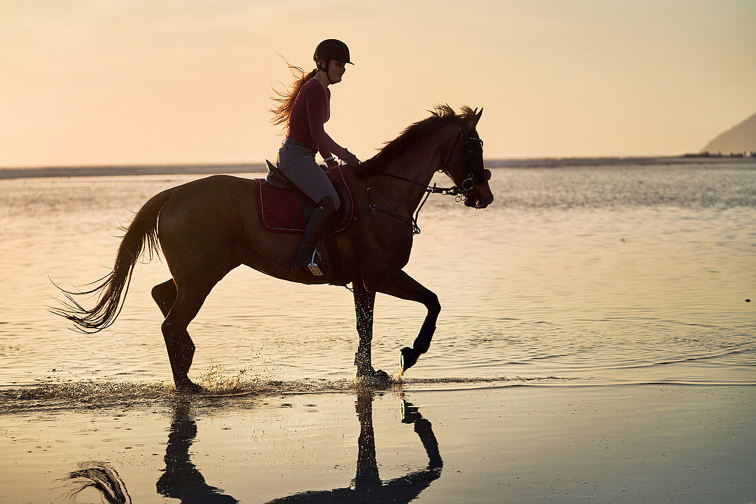 Young woman horseback riding in sunset ocean surf