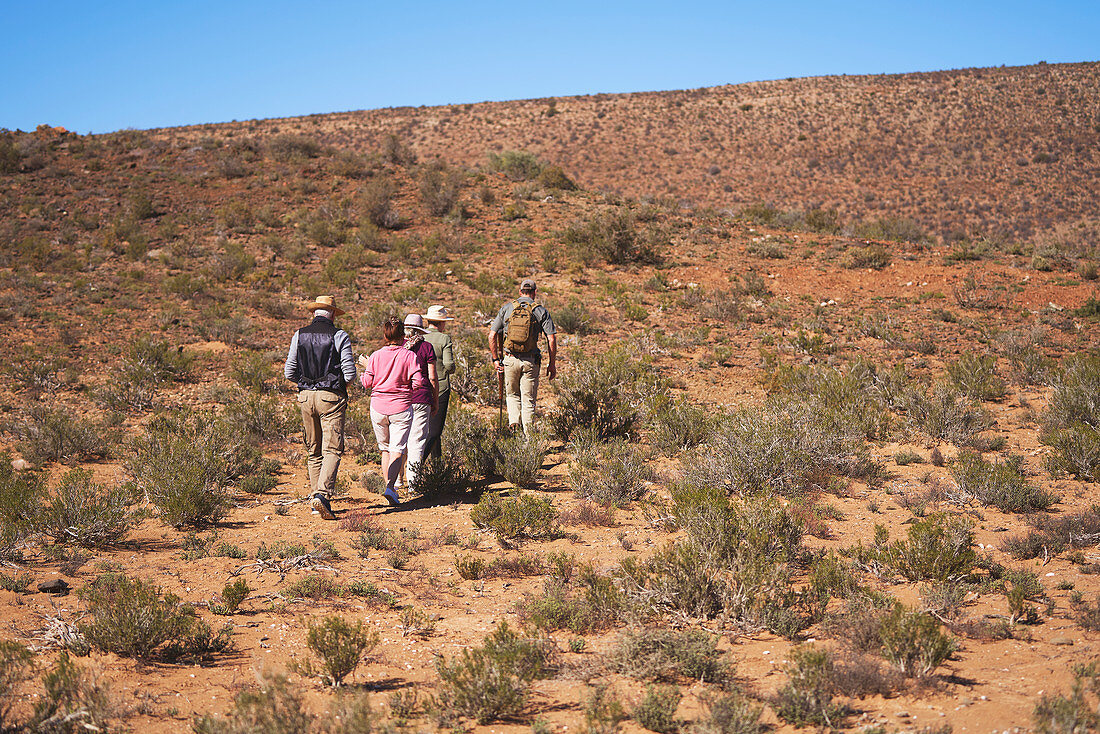 Guide leading group along sunny grassland South Africa