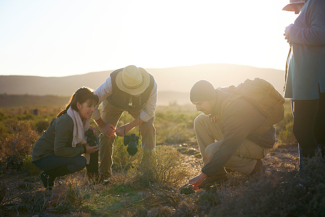Group examining plants in sunny grassland South Africa