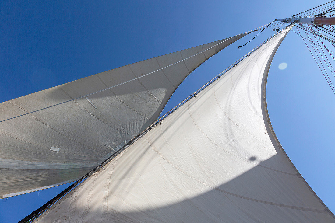 Sailboat sails blowing in breeze below blue sky