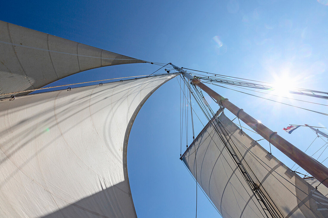 Sailboat sails blowing in wind below blue sky