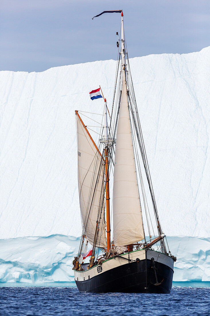 Ship with Netherlands flag sailing by iceberg on