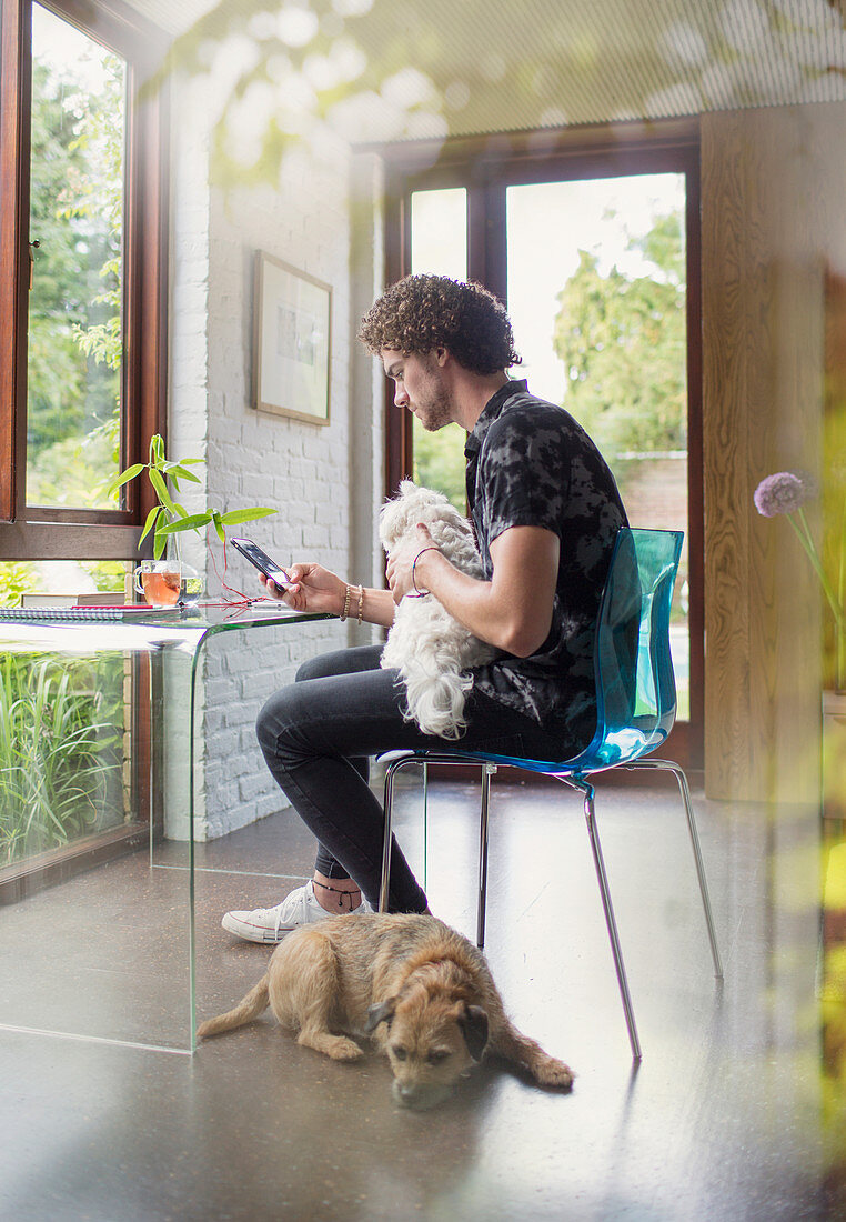 Young man with dogs working at desk in home office