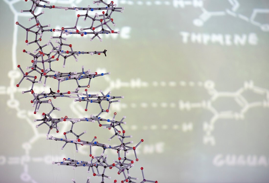Molecular structure in front of data on projection screen