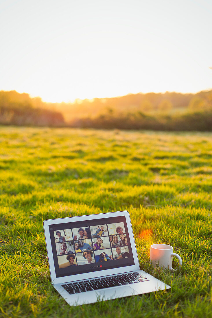 Video chat on laptop in sunny grass
