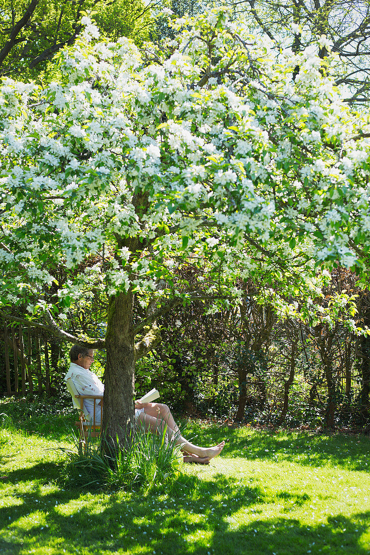 Man reading book below flowering tree in tranquil garden