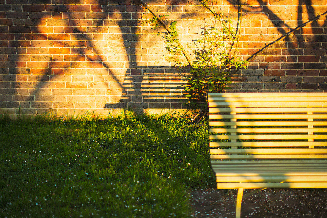 Shadow of bench on brick wall in sunny garden