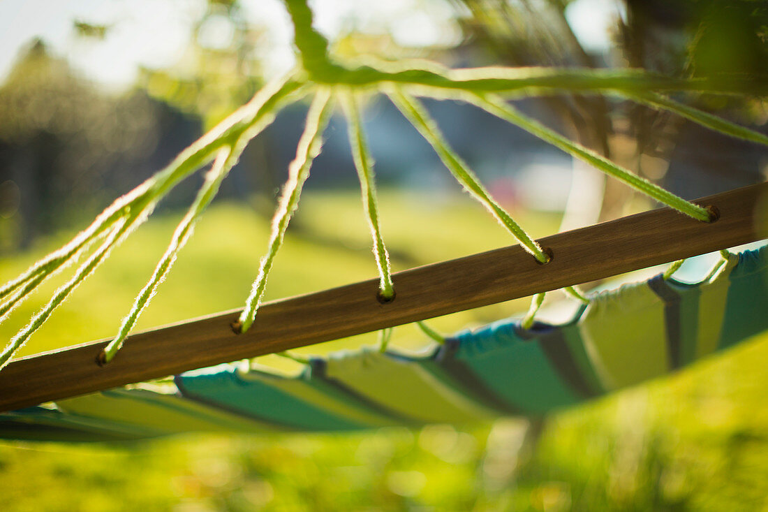 Close up hammock in sunny garden