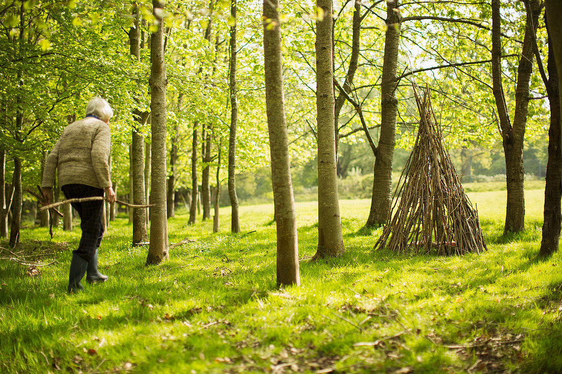 Senior woman with branches making teepee in sunny woodland