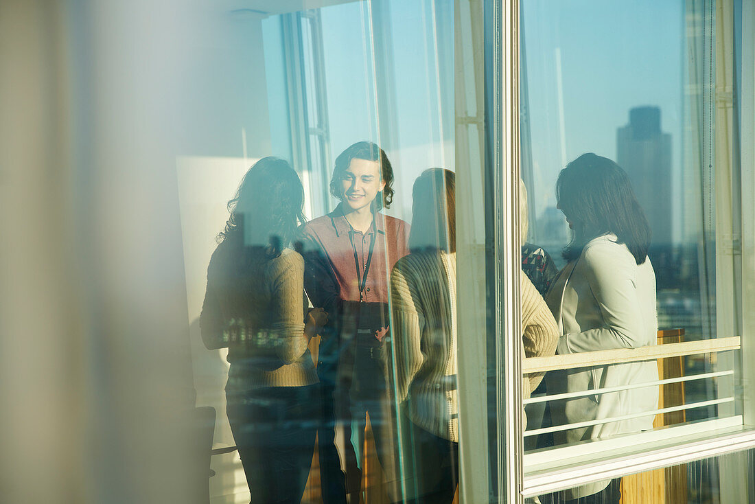 Business people talking in sunny office window