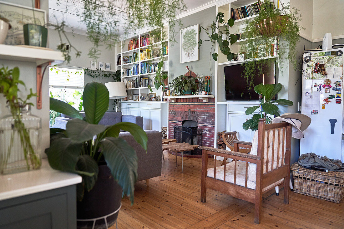 Houseplants in living room