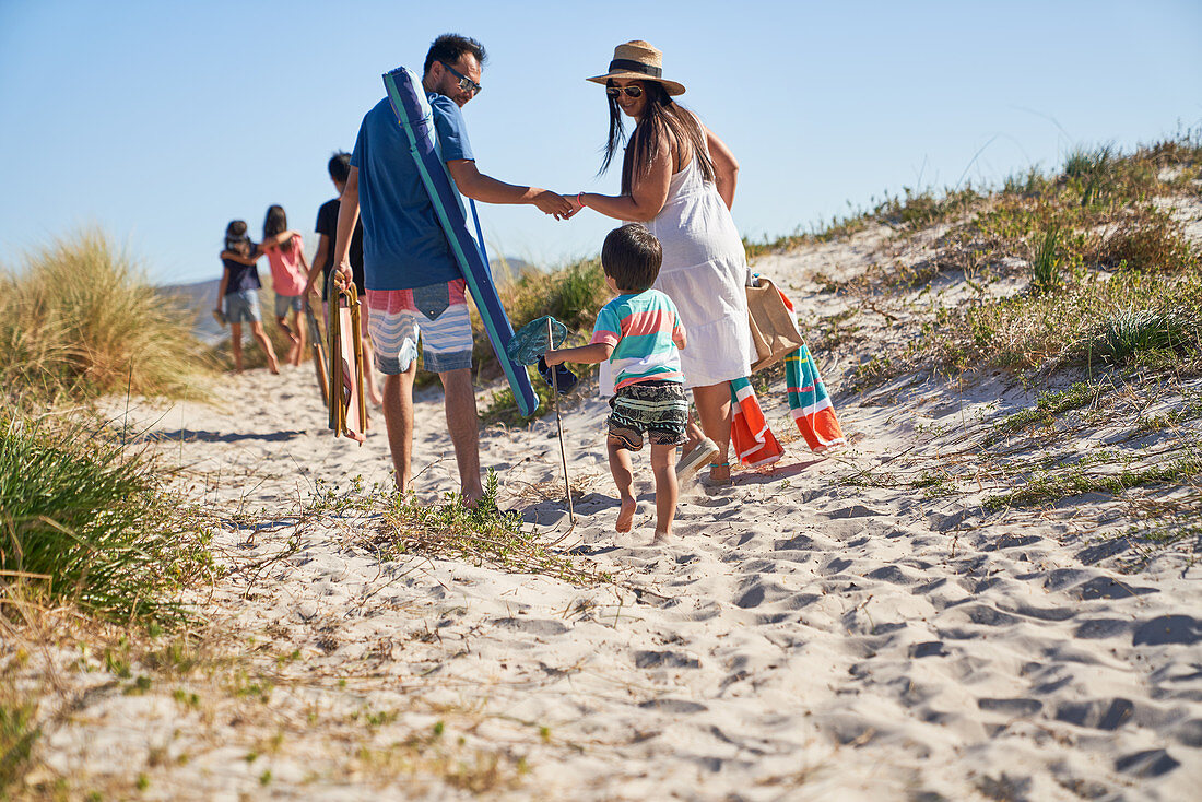 Family walking on sunny beach