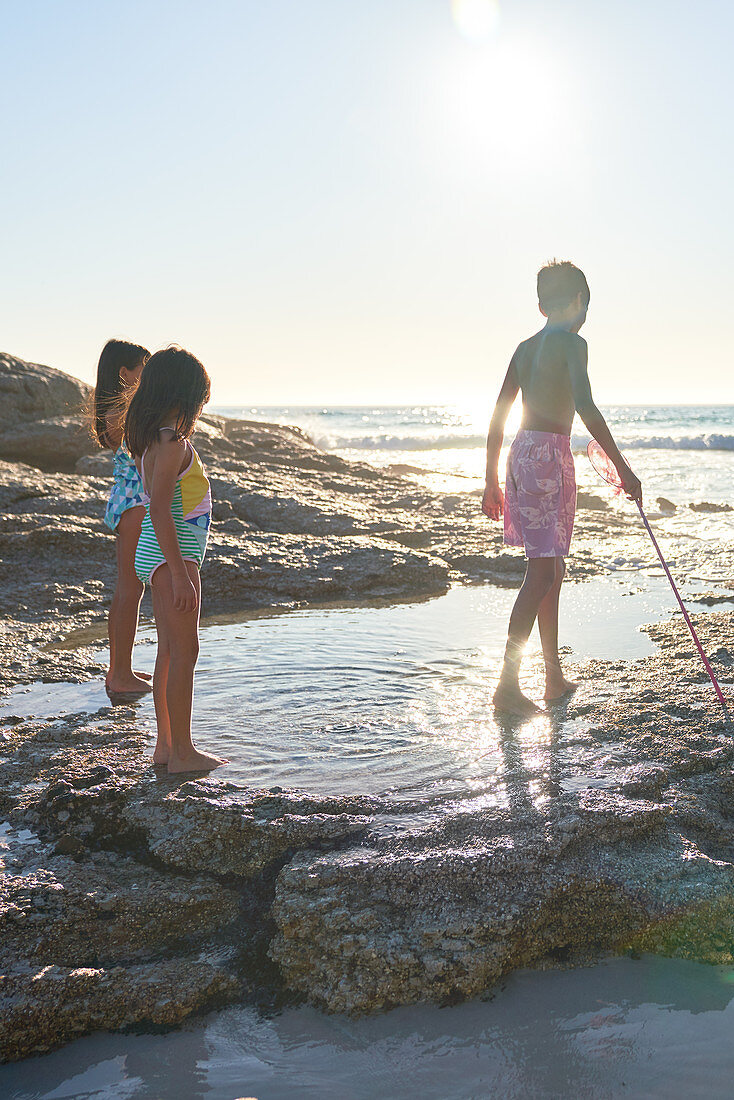 Brother and sisters playing in ocean tide pool