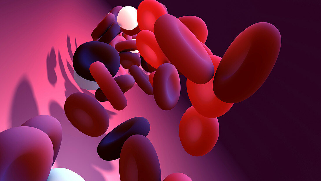 Human blood, illustration