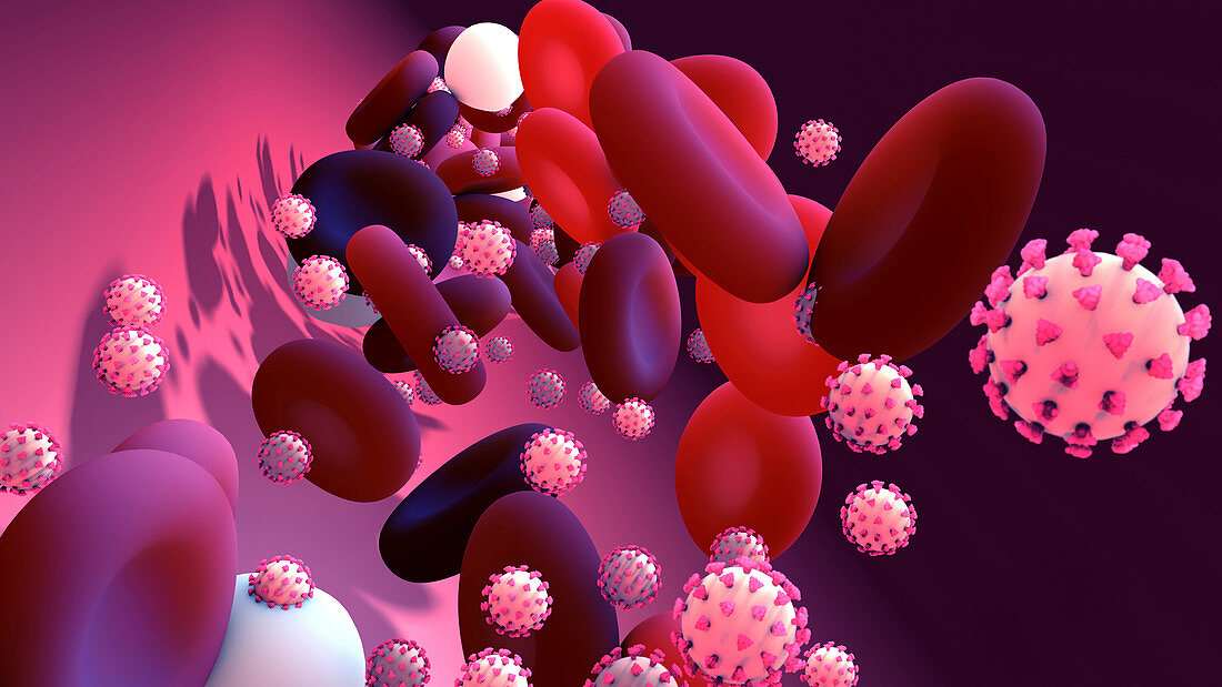 Coronavirus infection, conceptual illustration