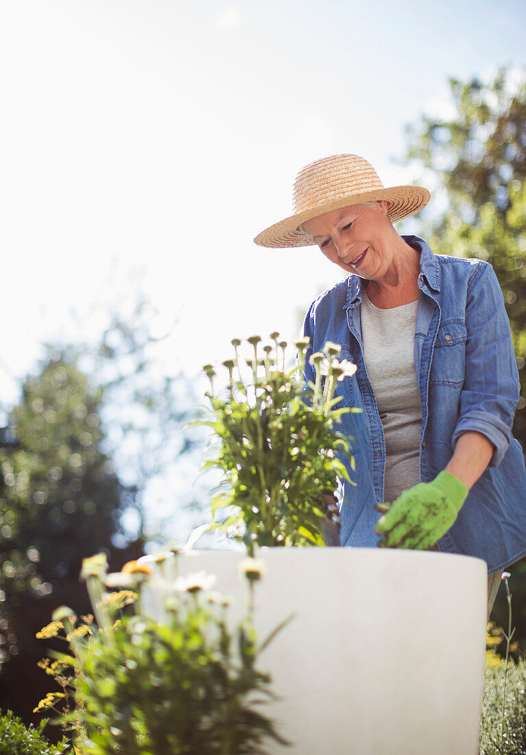 Senior woman in straw hat gardening