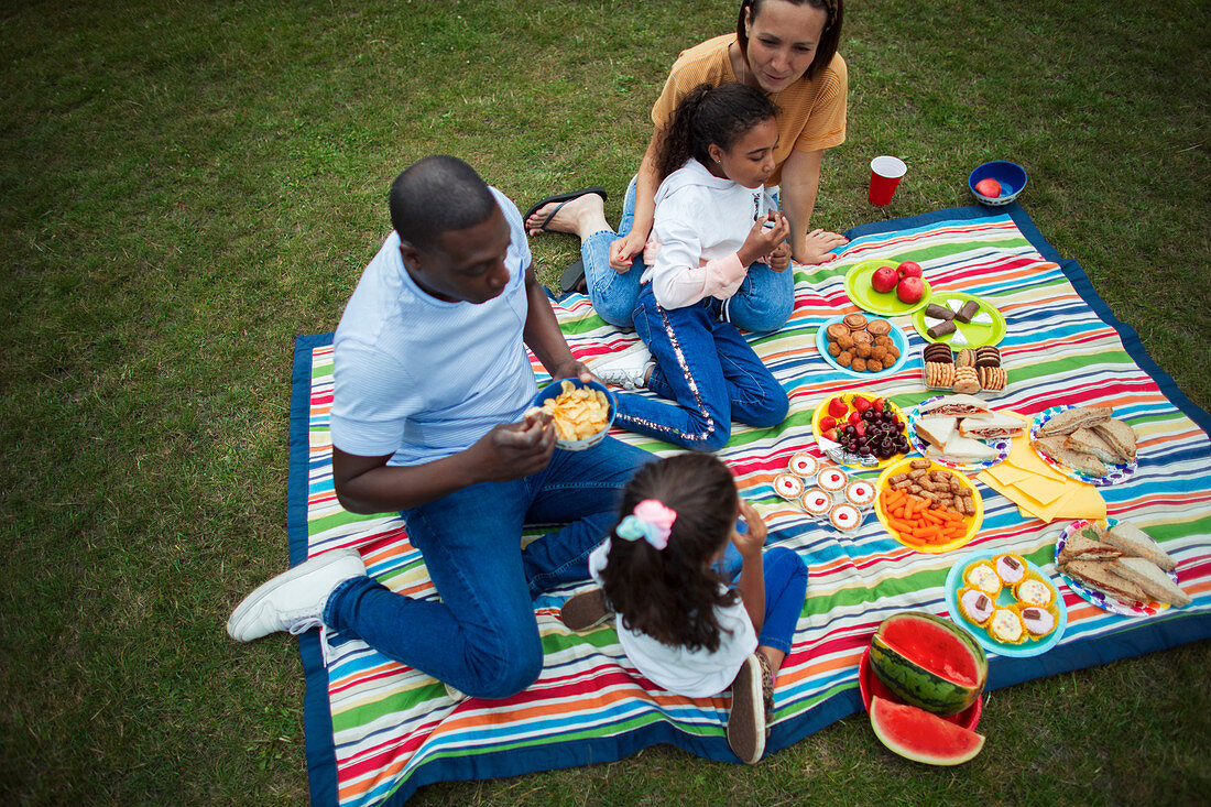 Family enjoying picnic on blanket in park
