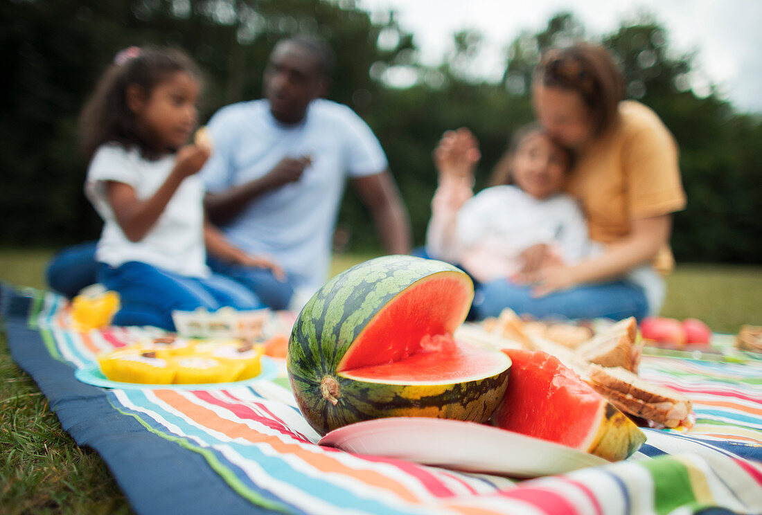 Family enjoying fresh watermelon in park