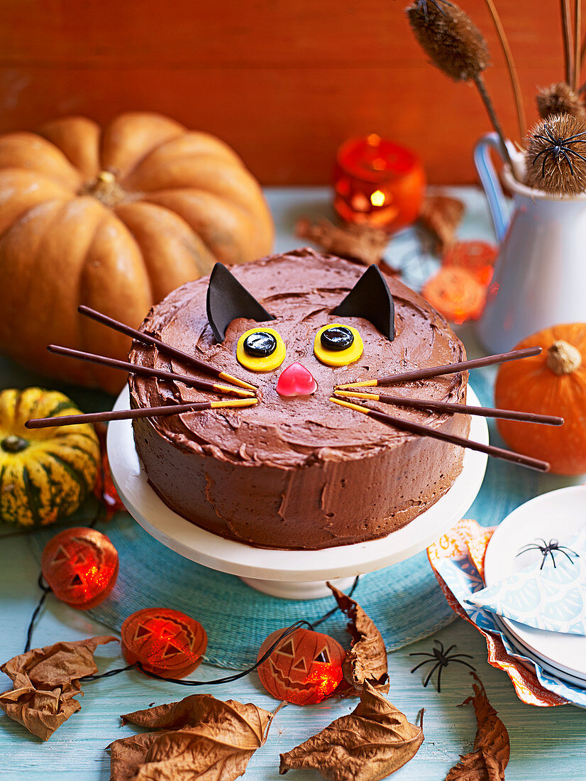 Schwarzer Katzenkuchen (Schokoladenkuchen) für eine Kinderparty zu Halloween