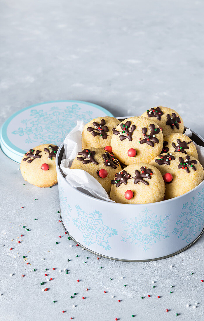 Christmas vanilla cinnamon cookies decorated with chocolate and sugar sprinkles