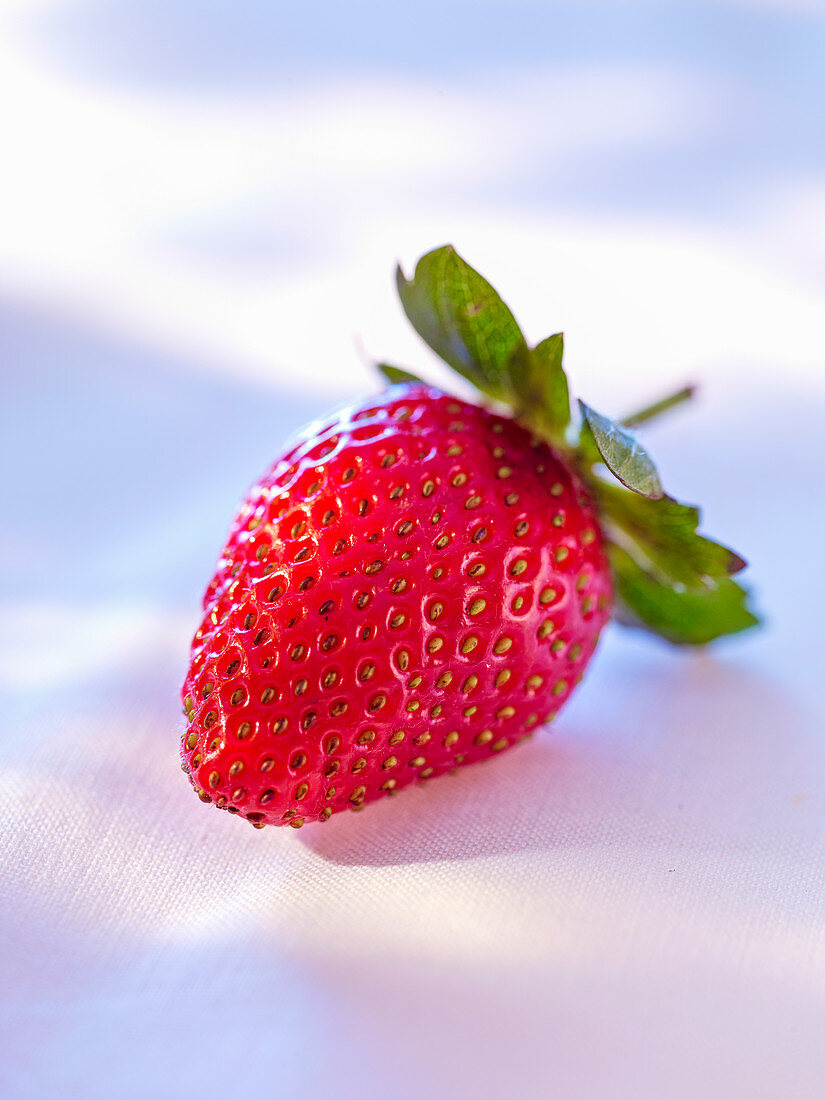 A fresh strawberry