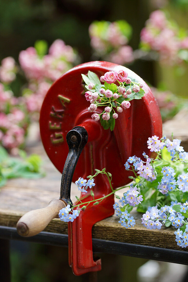 Vintage bean slicer decorated with flowering sprig of pink hawthorn and forget-me-nots
