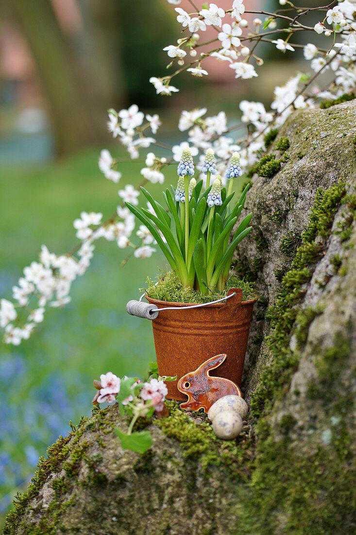 Traubenhyazinthe im Rosteimerchen, Osterhase und Ostereier