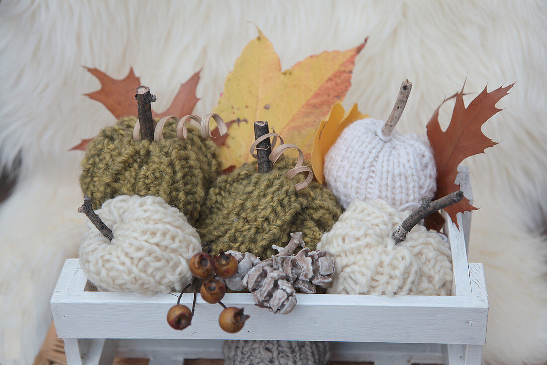Knitted pumpkin decorations and autumn leaves