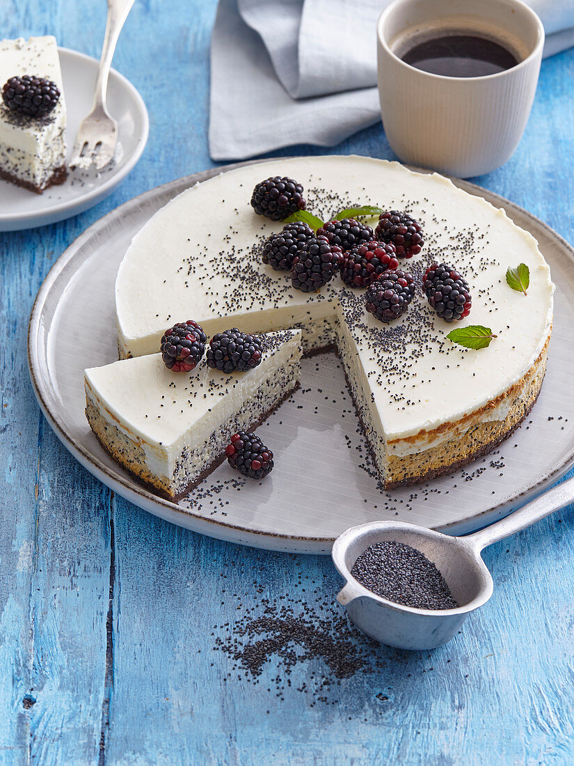 Cheesecake with blackberries and poppy seeds