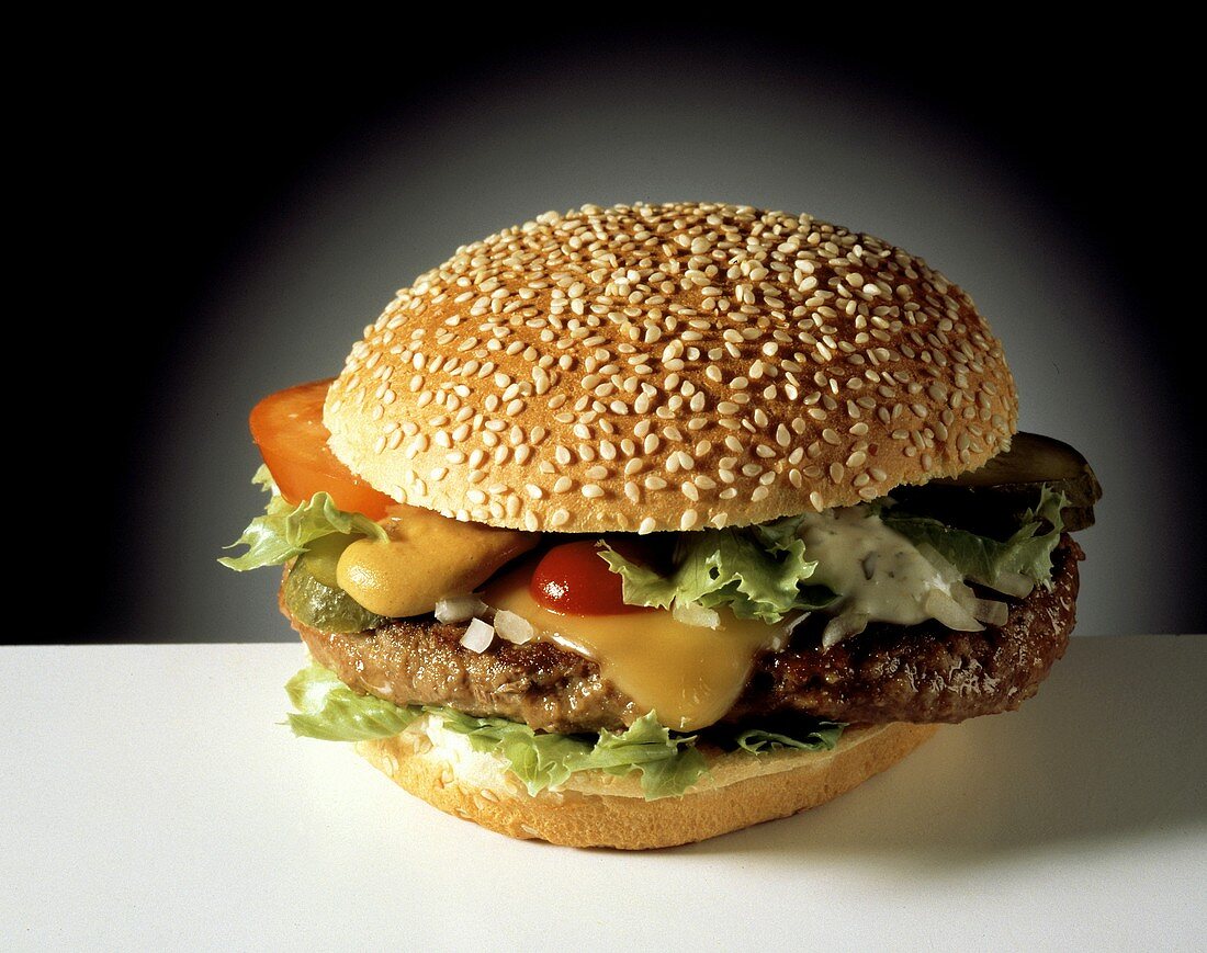 Cheeseburger with Pickles; Tomatoes; Onions; Ketchup; Mustard