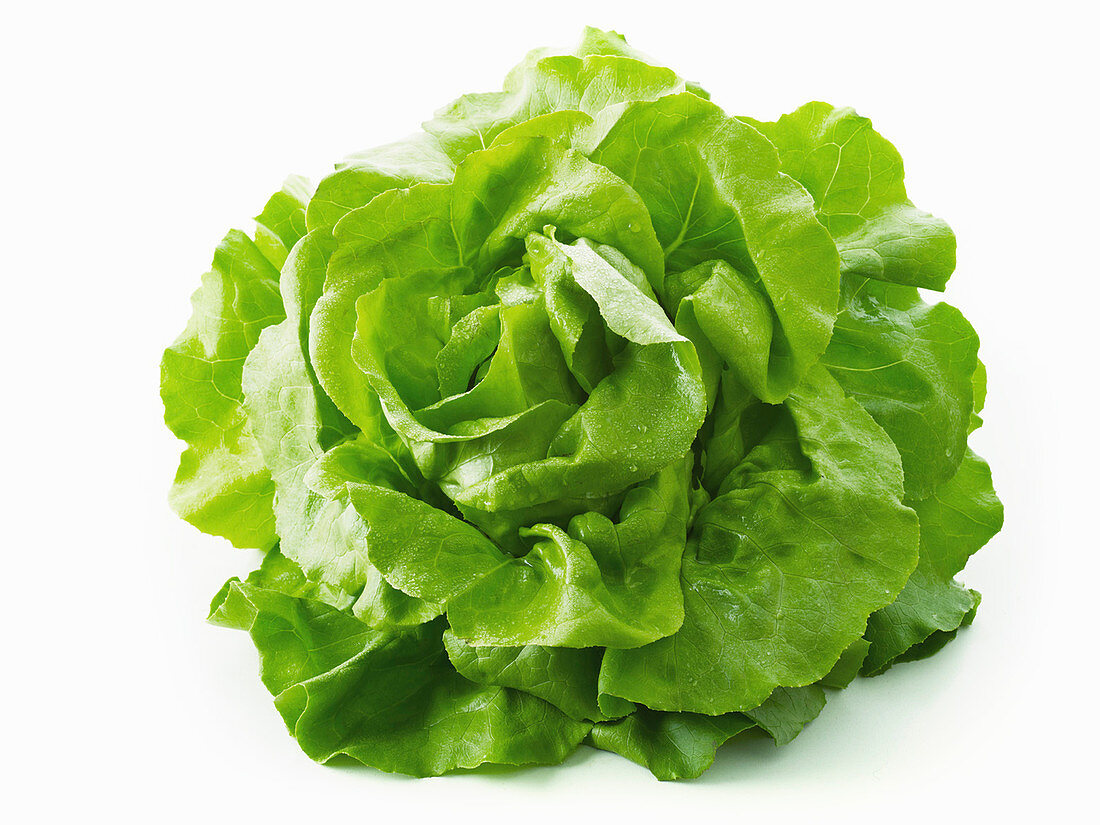 Lettuce