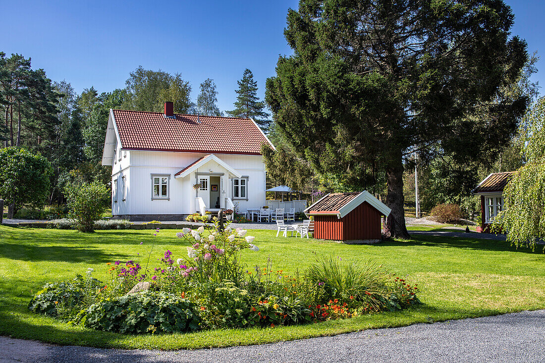 Flowerbed in the sunny garden, with view of the house