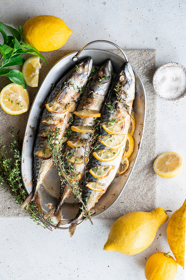 Ofengebackene Makrelen mit Zitrone und Thymian