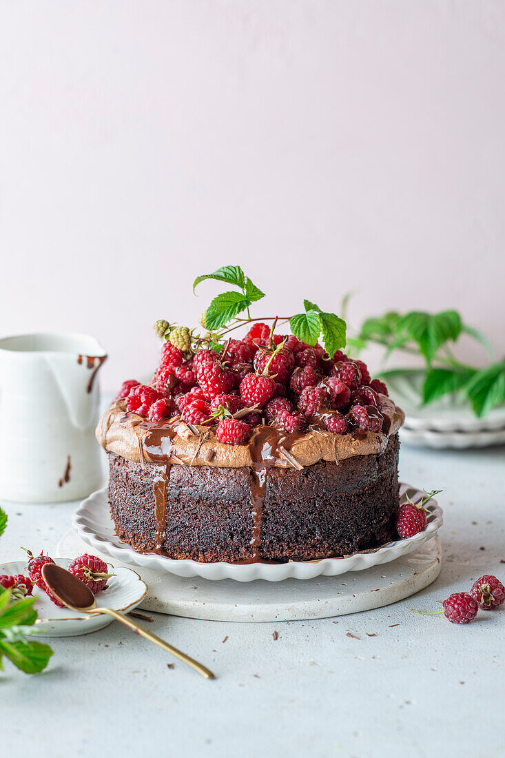 Raspberry chocolate cake