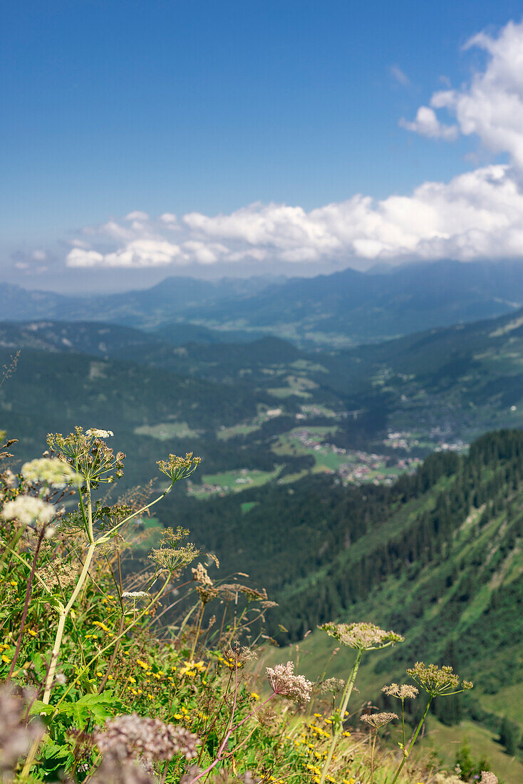 Kleinwalsertal (Blick vom Walmendinger Horn, Österreich)