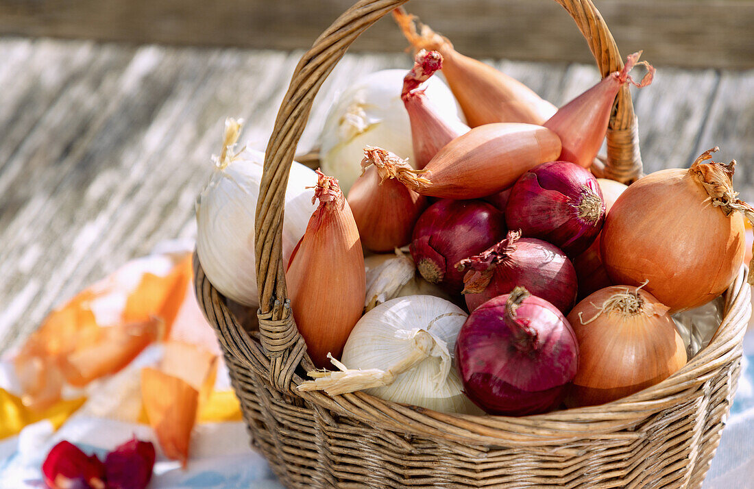 Shallots, white, red and yellow onions in a basket on a wooden table