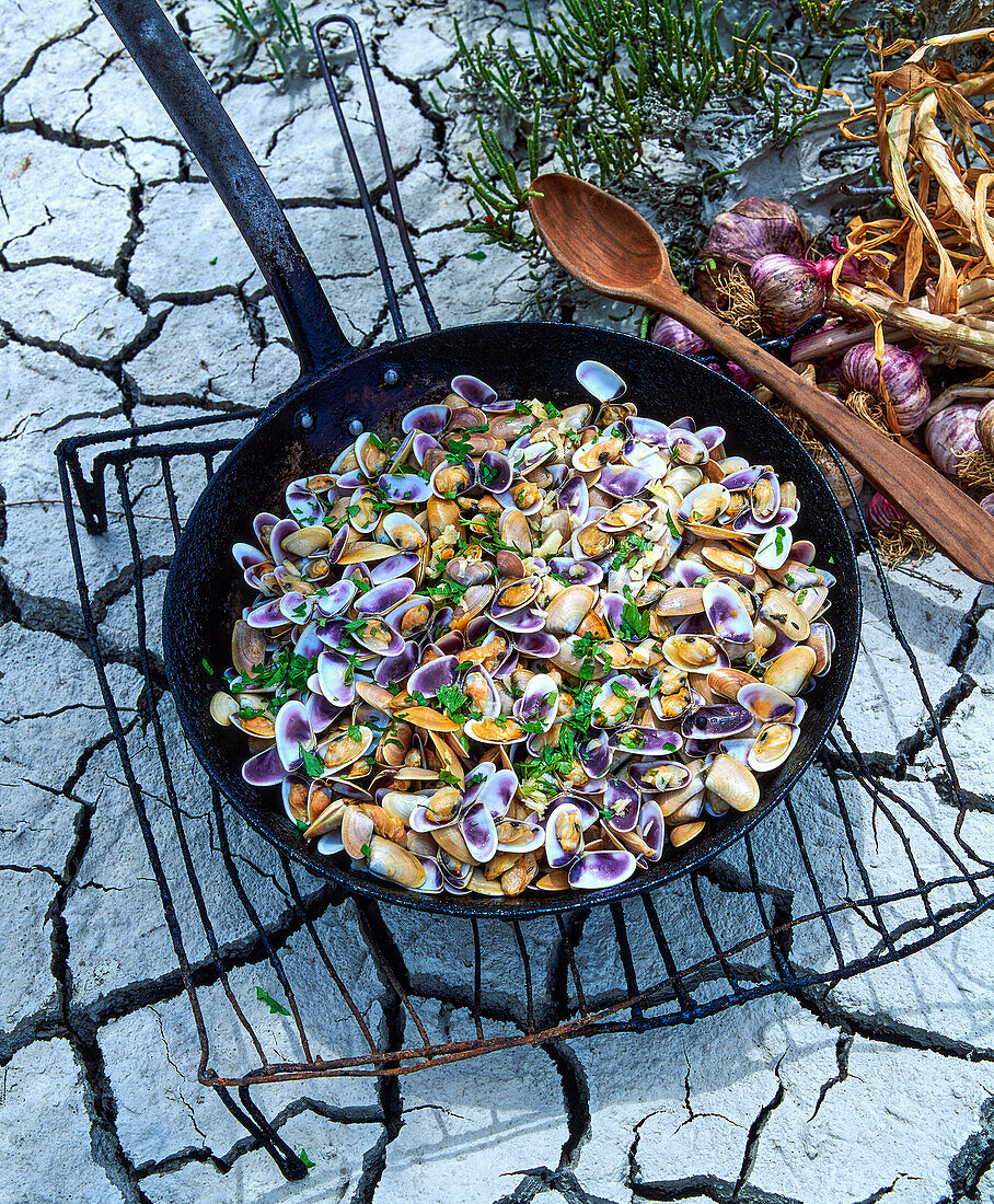 Tellines a la persillade (Telline mussels with parsley, Camargue, France)