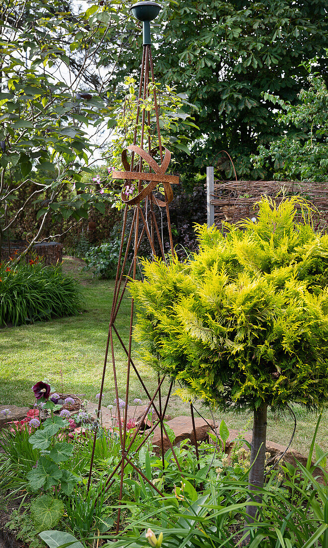 Rostiges Klettergerüst und gelbe Edelzypresse im Gartenbeet