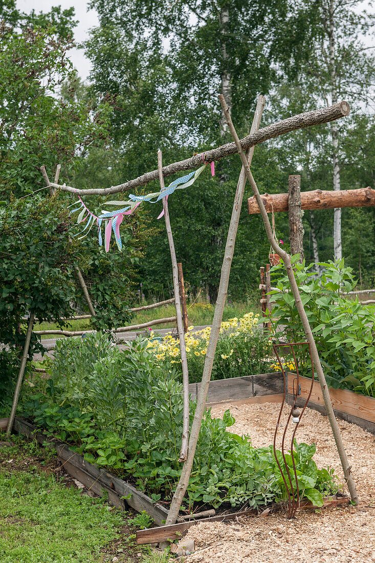 Äste mit bunten Bändern und als Rankhilfe im Gemüsegarten