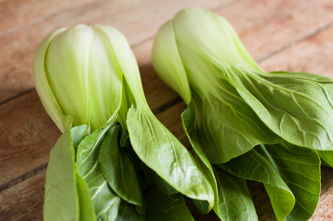 Fresh pak choi