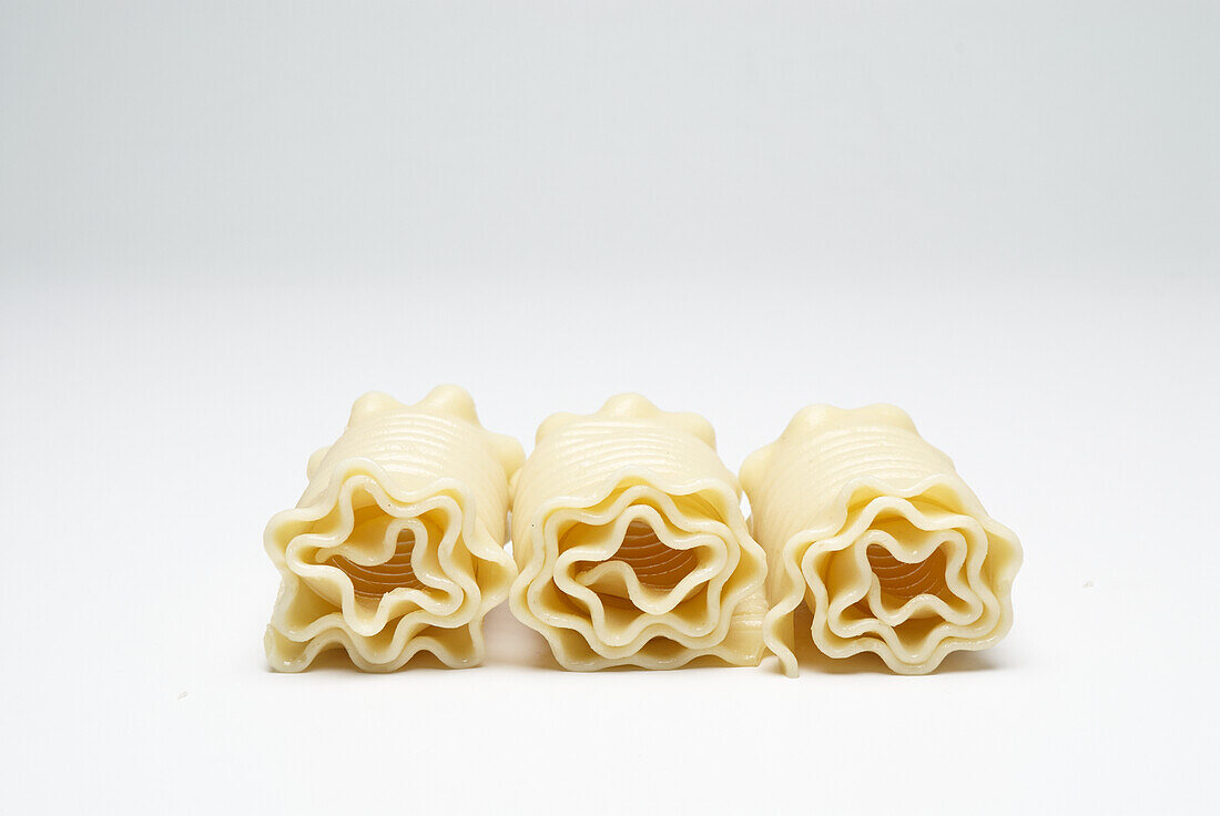 Rolled up lasagne sheets against a white background