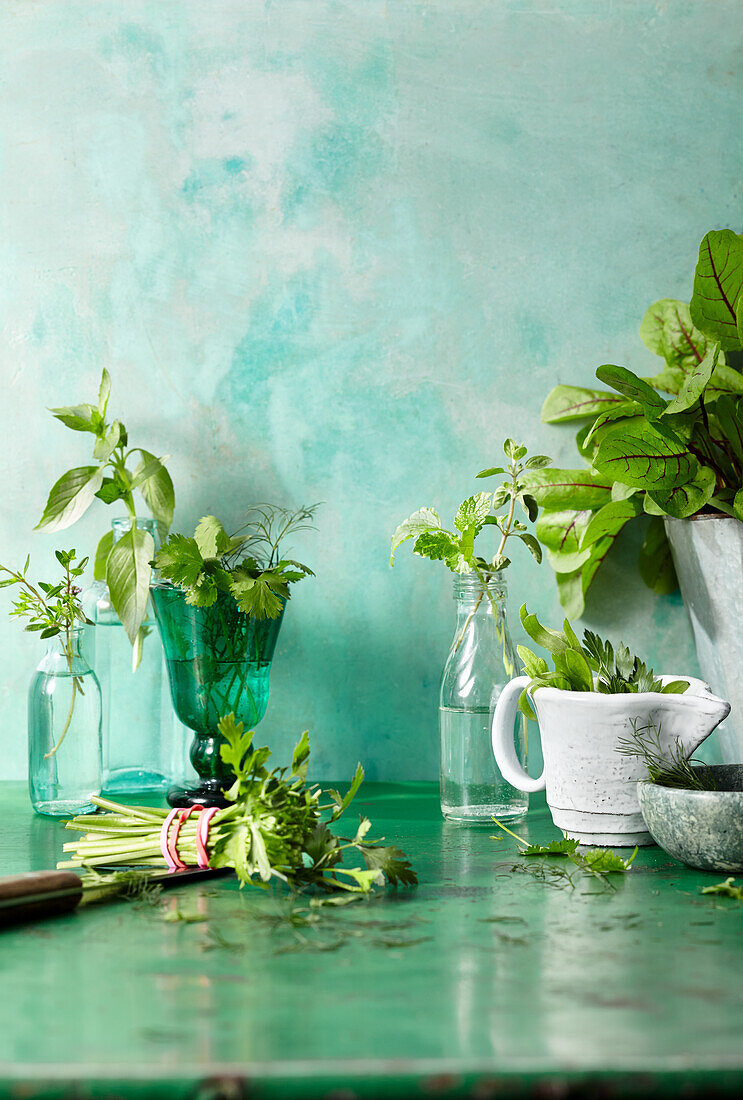 Herb still life