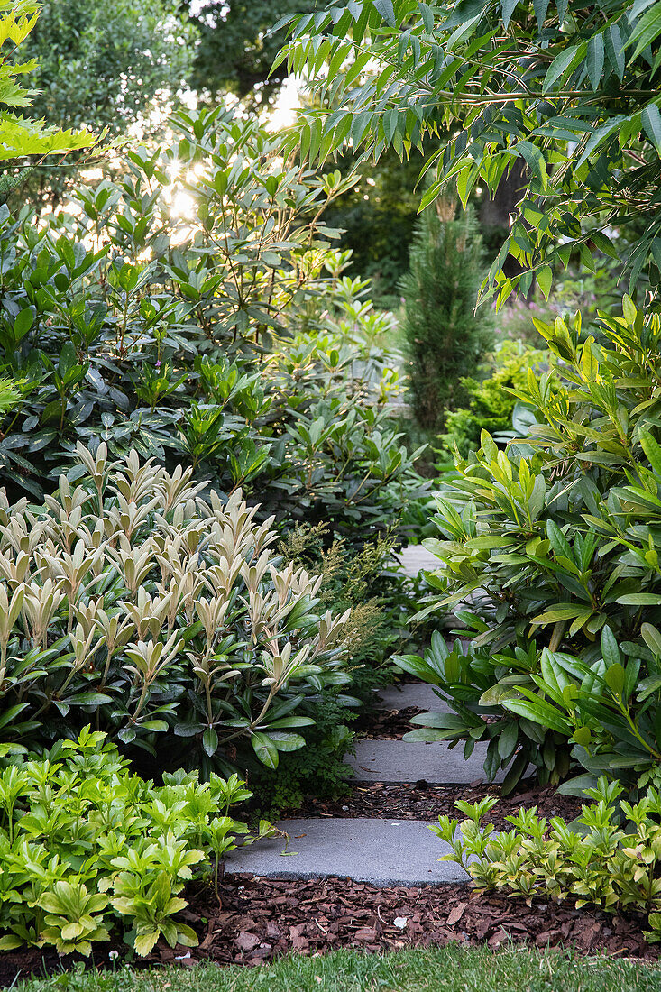 Stepping stones along the garden path with Asian touches