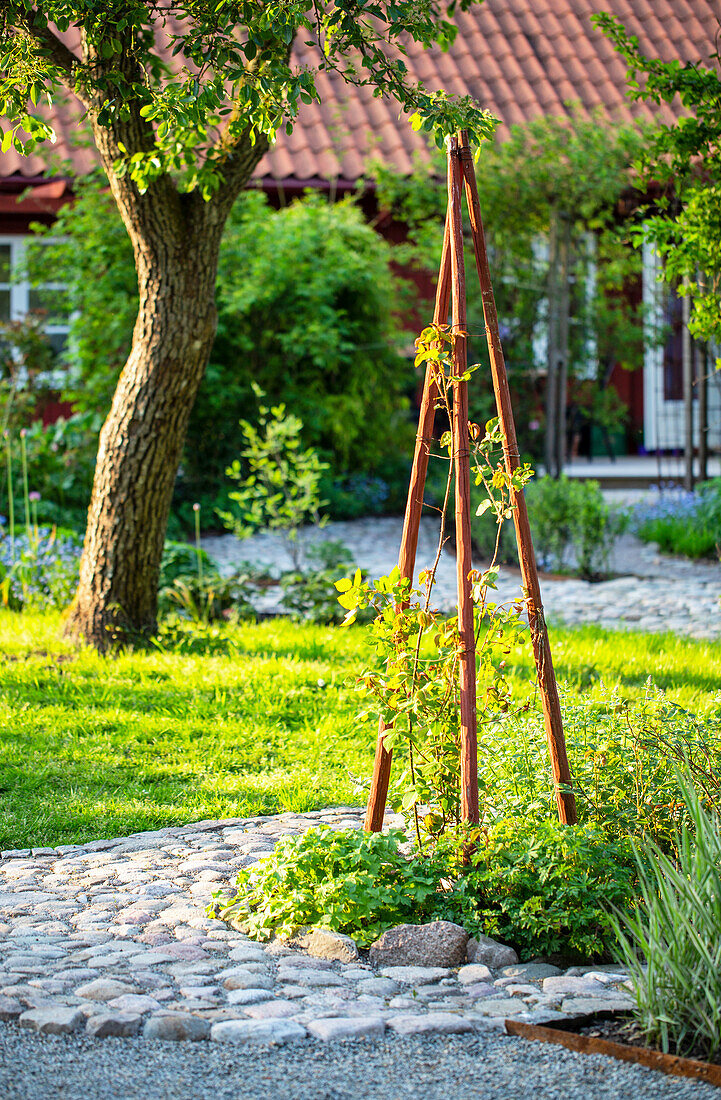 Decorative climbing trellis in the garden