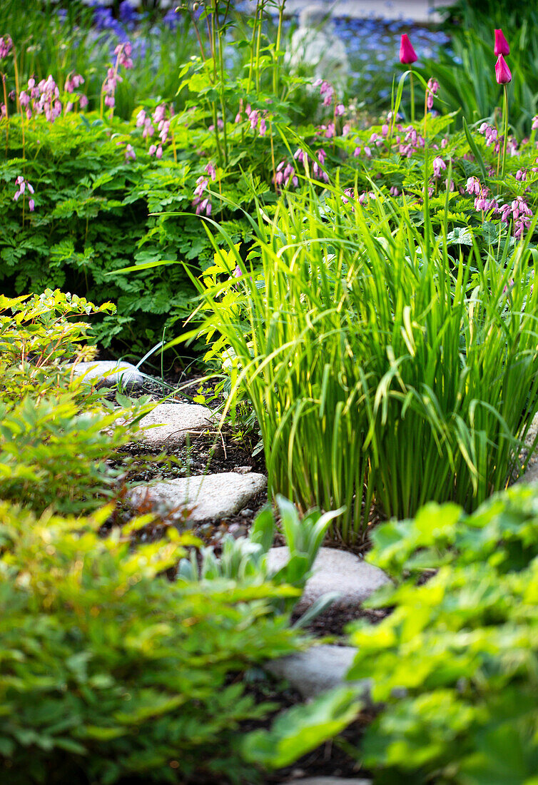 Weg aus flachen Steinen im Blumenbeet