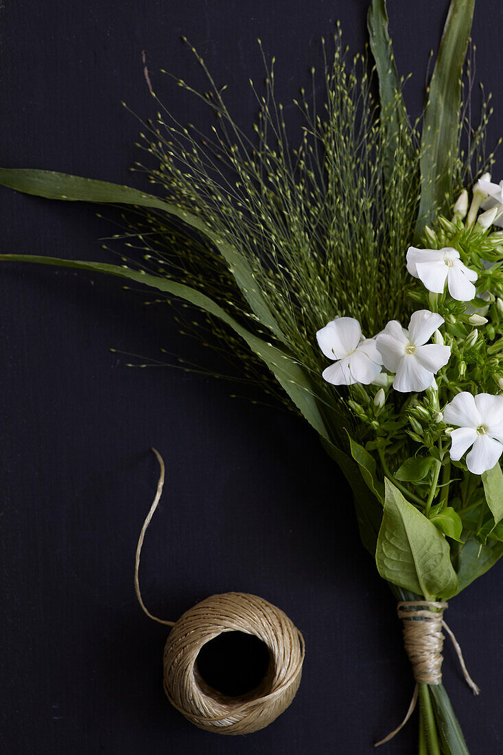 Creative Phlox flowers