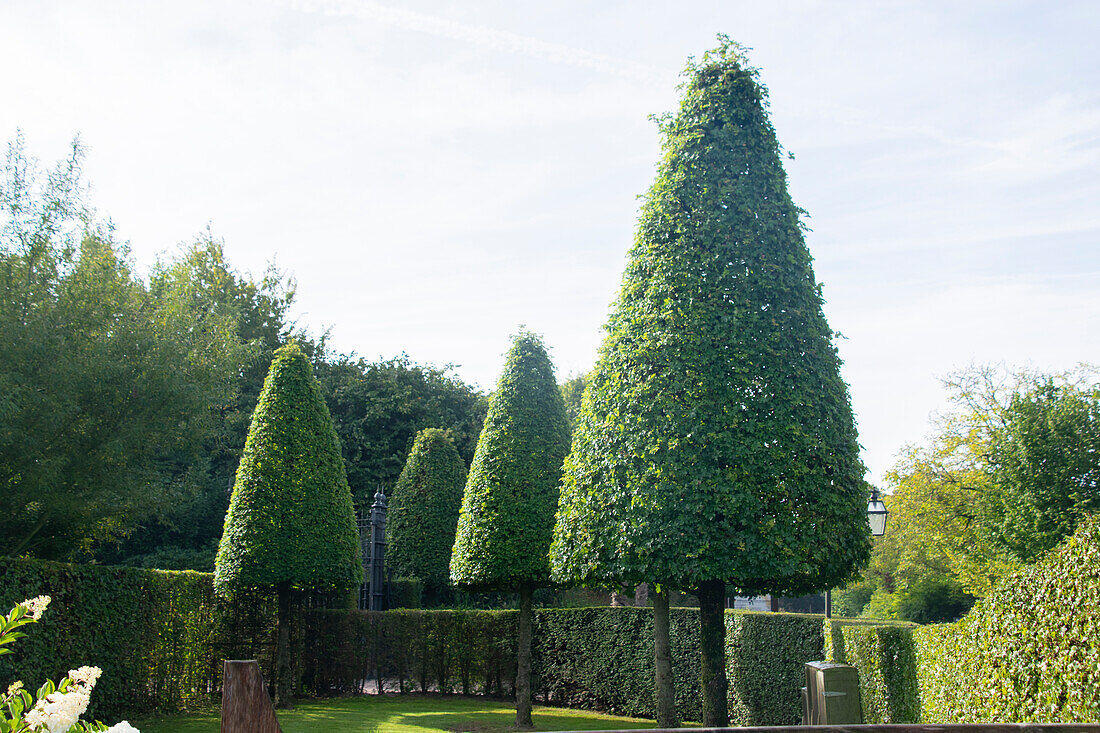 Topiary garden